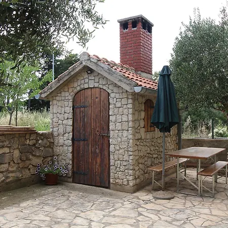 Viola * Ζαντάρ