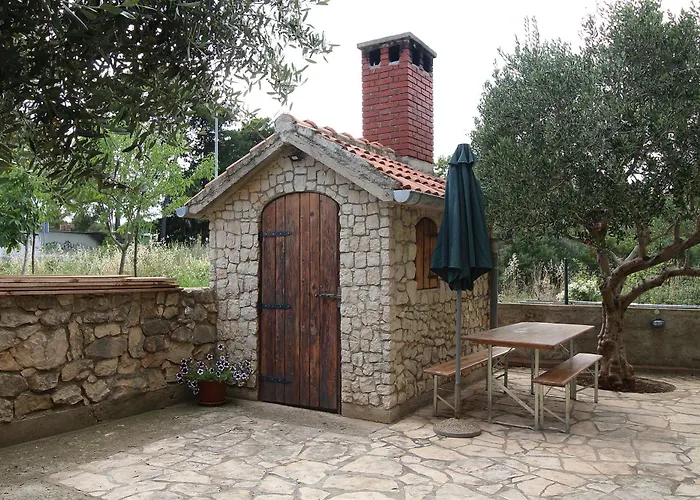 Viola * Ζαντάρ